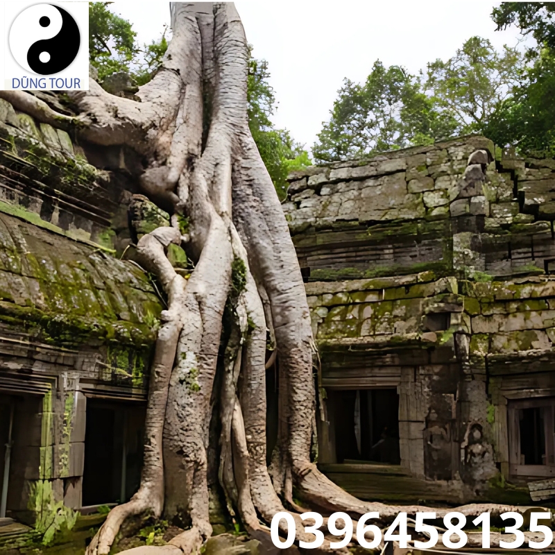 Hình ảnh Campuchia đẹp