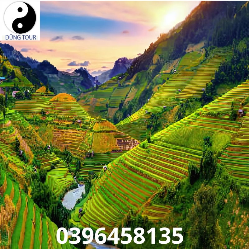 Ruộng bậc thang Mù Cang Chải mùa lúa chín