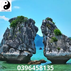 Vịnh Hạ Long