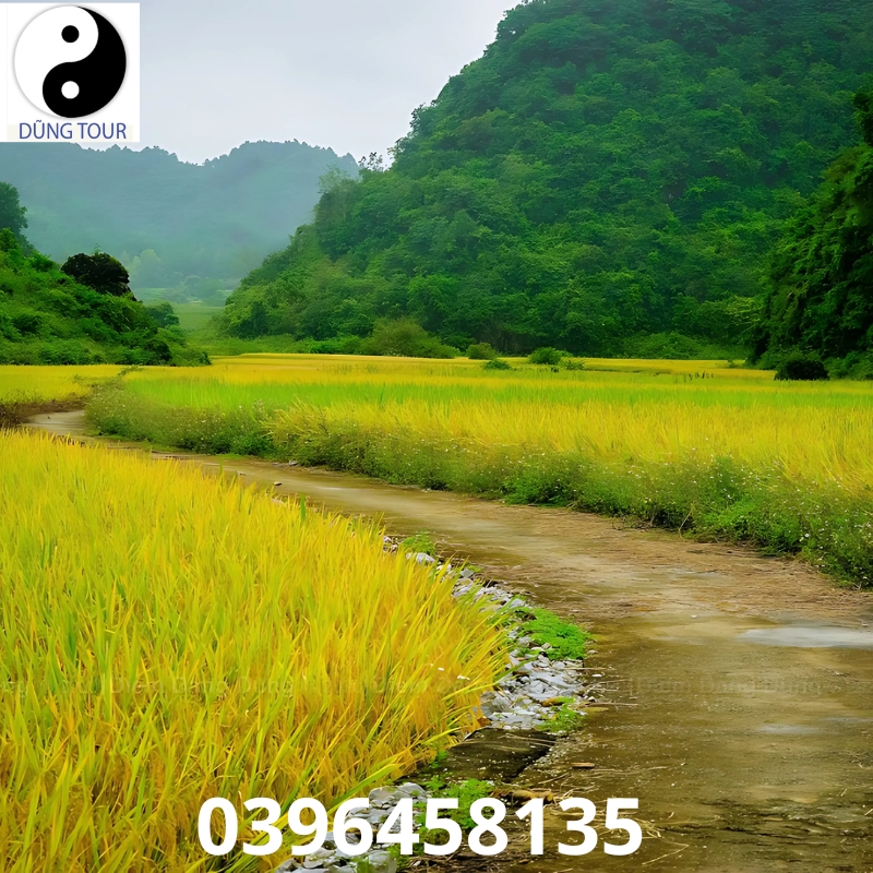  Hình ảnh Cao Bằng