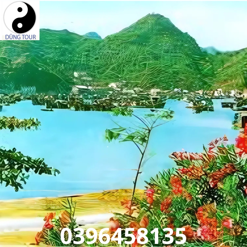 Hình ảnh Cát Bà