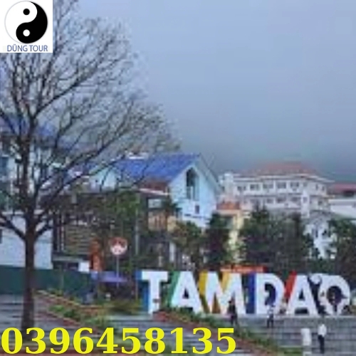 Anh-check-in-bien-hieu-TAMDAO-trung-tam-thi-tran-Tam-Dao-Vinh-Phuc